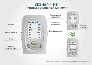 СКЭНАР-1-НТ (исполнение 01)  в Великом Новгороде купить Медицинский интернет магазин - denaskardio.ru 